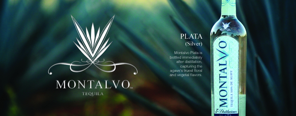 Montalvo Plata