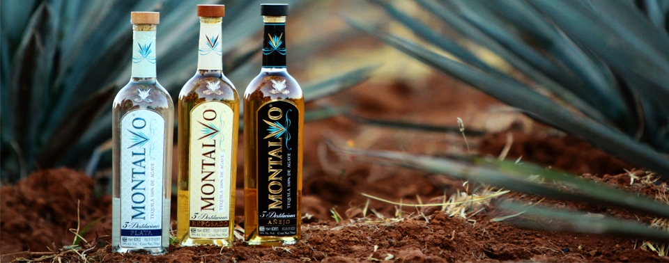 Montalvo Tequila